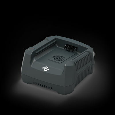 Chargeur 82V 1 emplacement