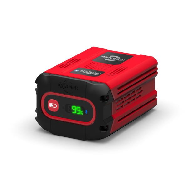 Batterie 82V 2.5Ah