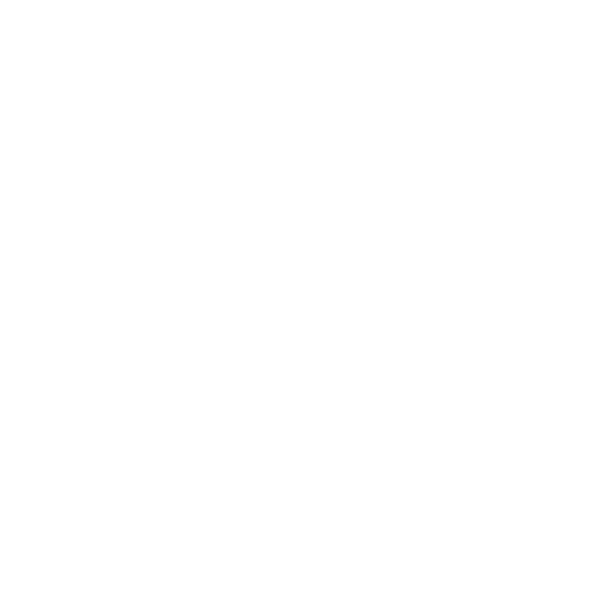 100% battery since 2002