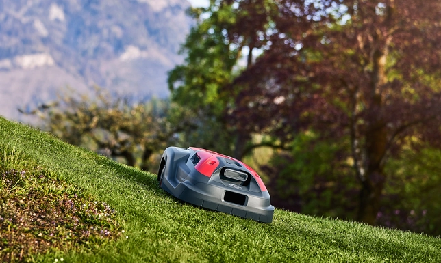 Automated mowing